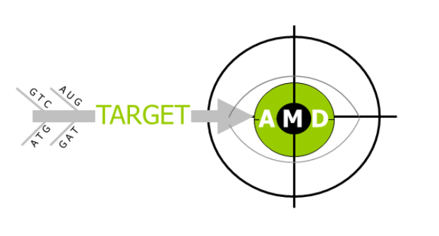 TargetAMD Logo