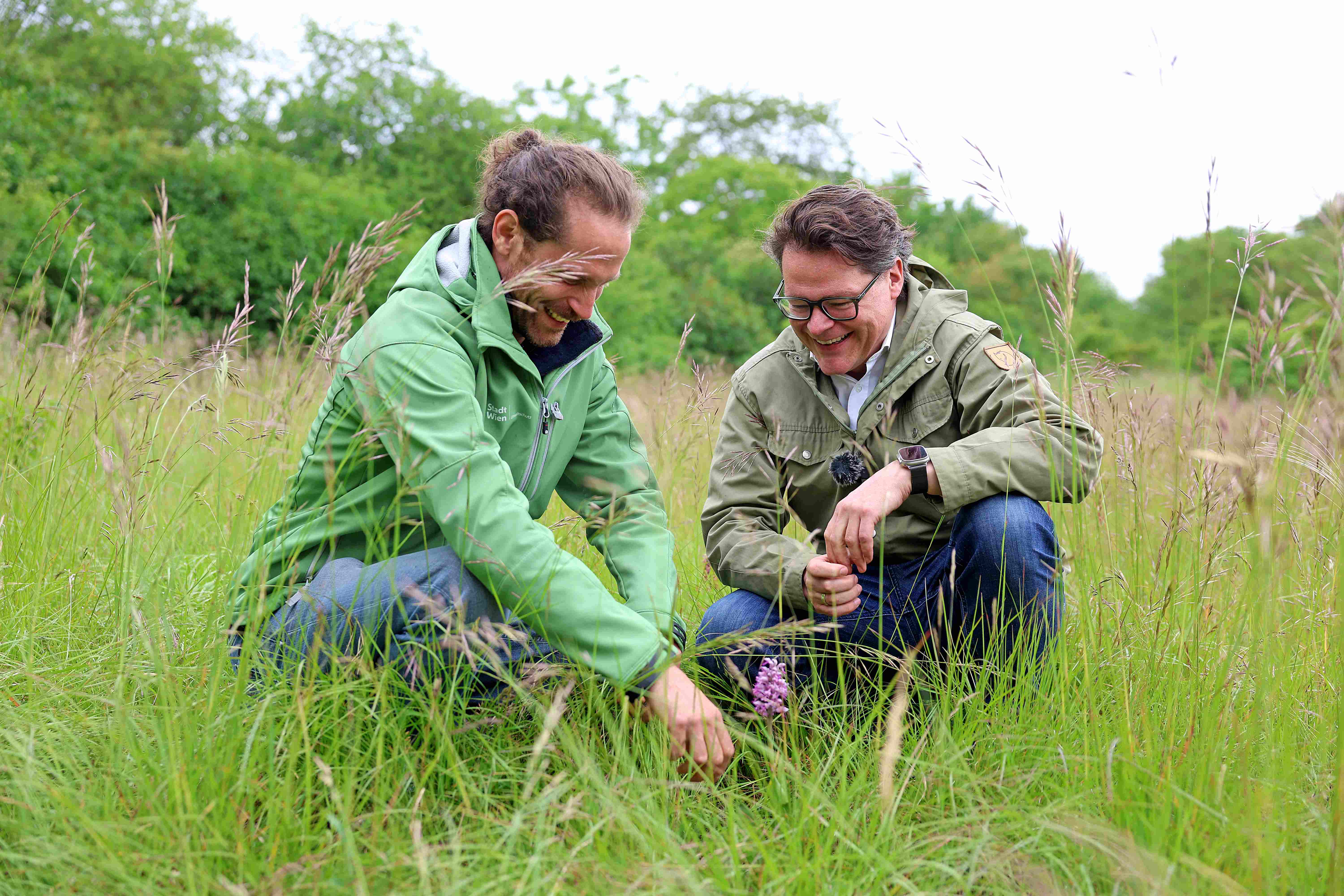 Breitenlee Nature Reserve © Stadt Wien/Martin Votava Breitenlee Nature Reserve © Stadt Wien/Martin Votava